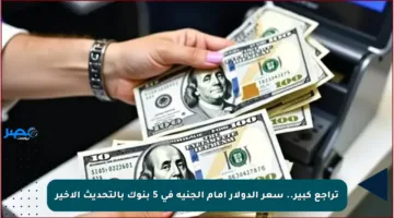 تراجع كبير.. سعر الدولار أمام الجنيه في 5 بنوك بالتحديث الأخير